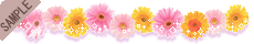 �K�[�x����������
