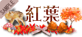 �g�t