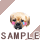 ���ʂ���