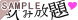 ���ݕ���