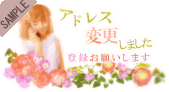 �A�h���X�ύX���܂���