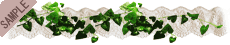 �c�^+���[�X
