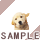 ����ɂ����I