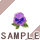 �p���W�[