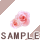 �K�N