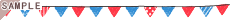 �g���R���[���t���b�O���C��