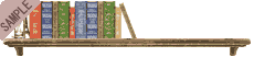 �{�I���C��