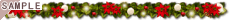 ���[�X���C��